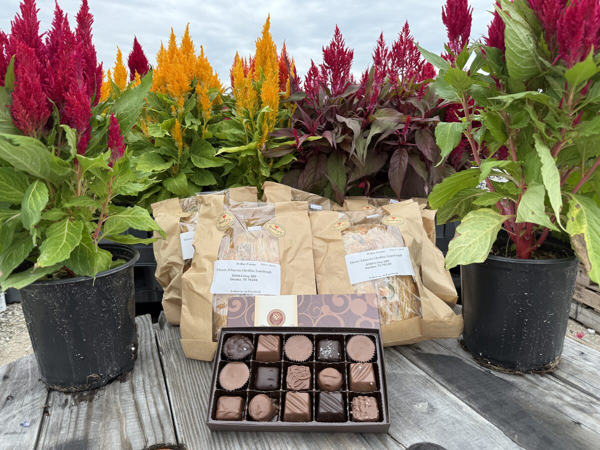 Specialty chocolate box